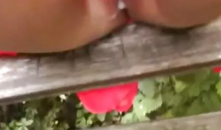 عزیزم زیبا و دوست داشتنی در طعمه دانلود فیلم سگسی خارجی جوراب ساق بلند