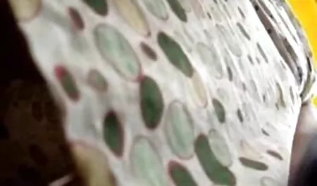 دختر ژاپنی Misaki فیلم خارجی سیکسی